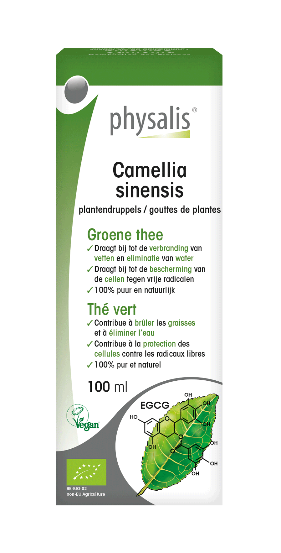 Camellia sinensis Gouttes de plantes